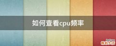 如何查看cpu频率