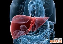 肝功能不好怎么调理？中医帮你养回来！