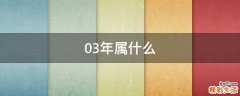03年属什么