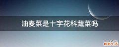 油麦菜是十字花科蔬菜吗