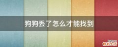 狗狗丢了怎么才能找到