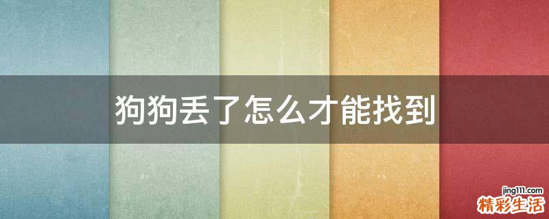 狗狗丢了怎么才能找到
