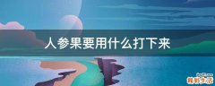 人参果要用什么打下来