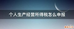 个人生产经营所得税怎么申报