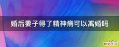 婚后妻子得了精神病可以离婚吗