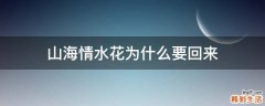 山海情水花为什么要回来
