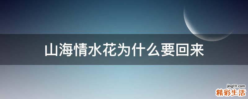山海情水花为什么要回来