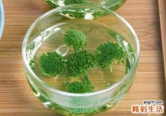 护肝养肝喝什么茶 肝不好就常喝这个