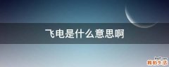 飞电是什么意思啊
