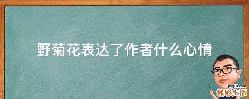 野菊花表达了作者什么心情