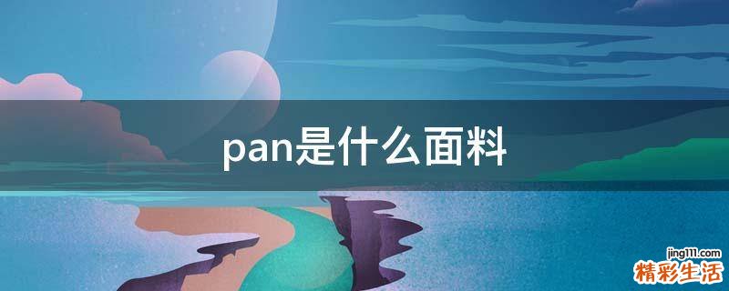 pan是什么面料