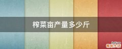 榨菜亩产量多少斤