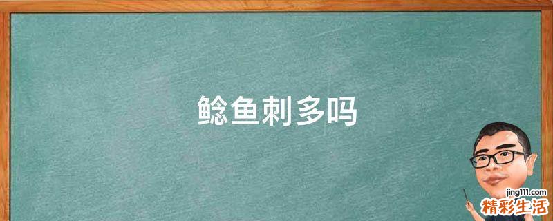 鲶鱼刺多吗