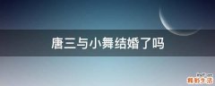 唐三与小舞结婚了吗