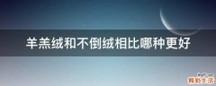 羊羔绒和不倒绒相比哪种更好