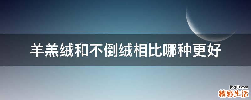 羊羔绒和不倒绒相比哪种更好
