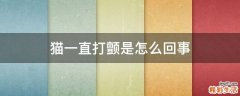 猫一直打颤是怎么回事