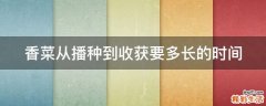 香菜从播种到收获要多长的时间