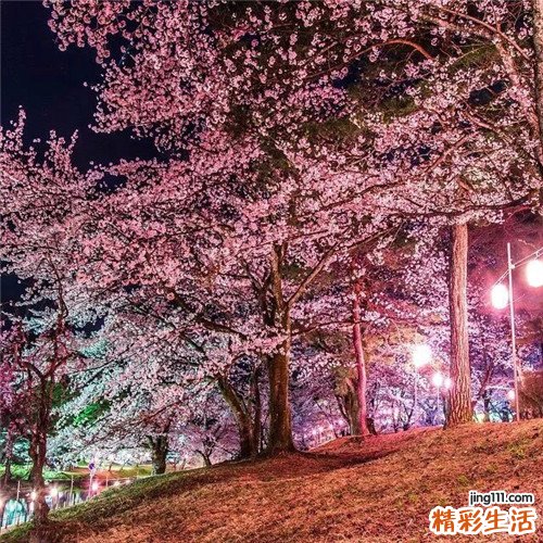 戈谢病治疗方法有哪些