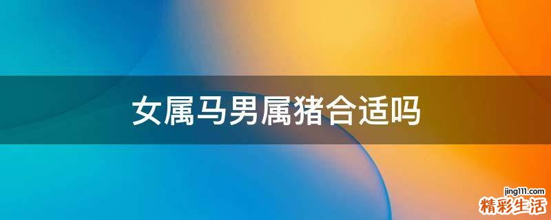 女属马男属猪合适吗