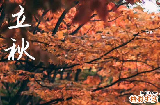 晚立秋是什么意思 晚立秋是指什么时候