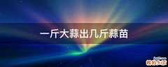 一斤大蒜出几斤蒜苗