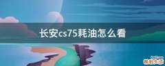 长安cs75耗油怎么看