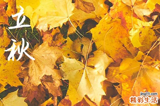 2023立秋是公立秋还是母立秋 2023年立秋是公还是母