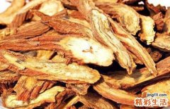 养肝护肝的中药 3种养肝的好药材