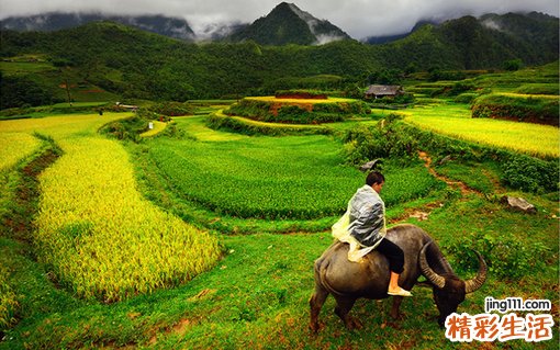 孔源性视网膜脱离复位术失败的机制