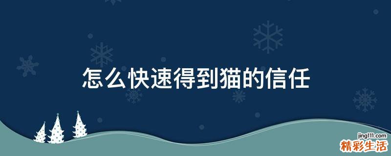 怎么快速得到猫的信任