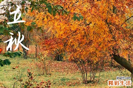 明天几点立秋，明天立秋是几点2023