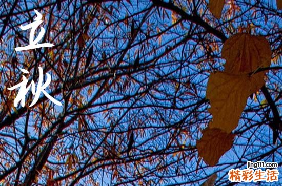 今天立秋是热秋还是冷秋