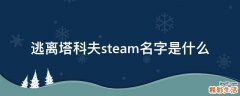 逃离塔科夫steam名字是什么