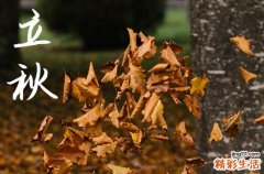 2023年8月8日是什么日子