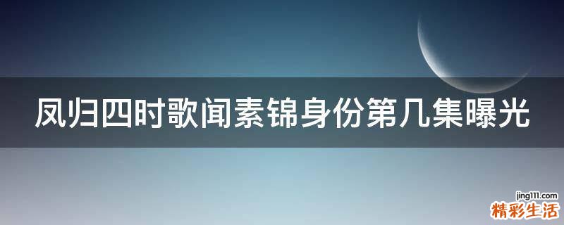 凤归四时歌闻素锦身份第几集曝光