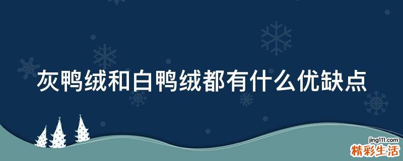 灰鸭绒和白鸭绒都有什么优缺点