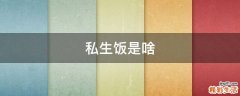 私生饭是啥