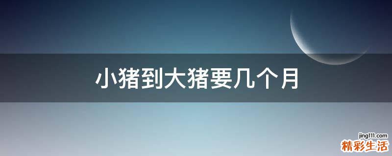 小猪到大猪要几个月