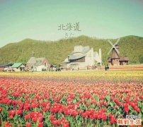 2 辩证论治：通便麻仁效果不错