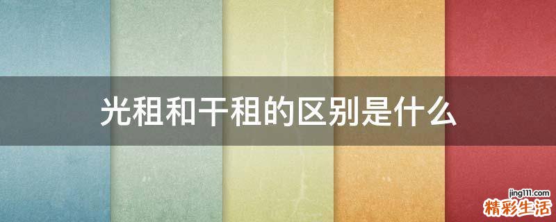 光租和干租的区别是什么