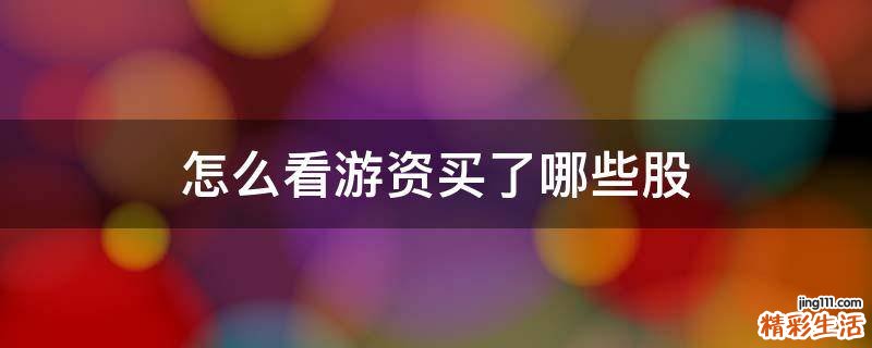 怎么看游资买了哪些股