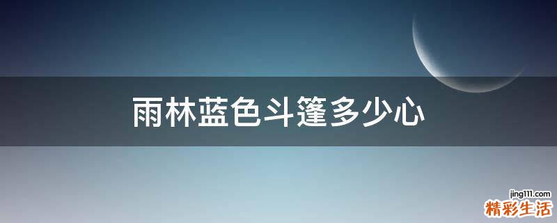 雨林蓝色斗篷多少心