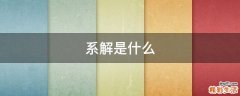 系解是什么