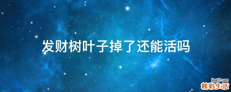 发财树叶子掉了还能活吗