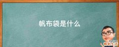 帆布袋是什么