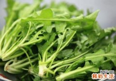 春季养肝吃什么 这7种蔬菜最养肝