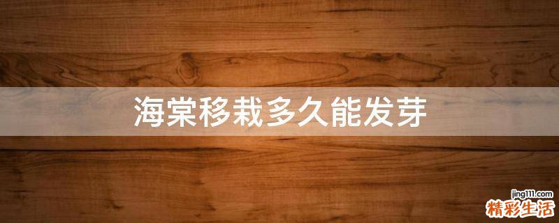 海棠移栽多久能发芽