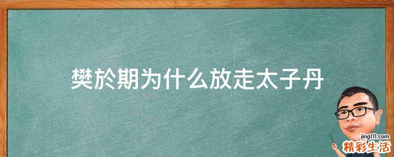樊於期为什么放走太子丹