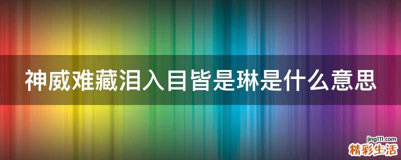 神威难藏泪入目皆是琳是什么意思